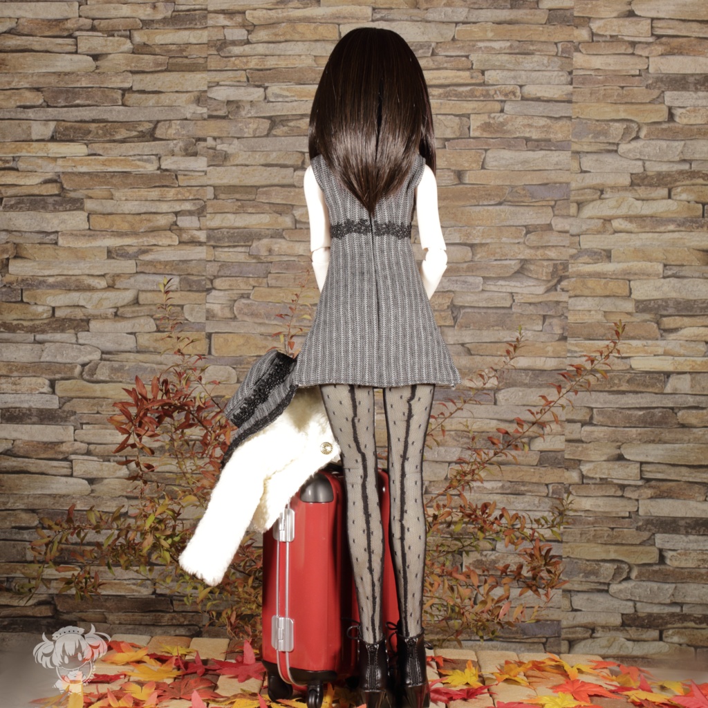 DD(S胸,M胸,L胸)ミニワンピース&ふわもこショートコートセット)