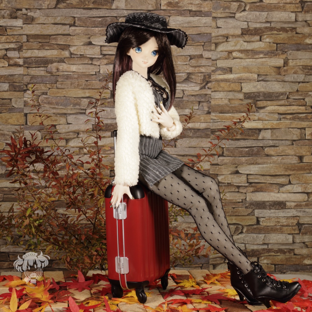 DD(S胸,M胸,L胸)ミニワンピース&ふわもこショートコートセット)