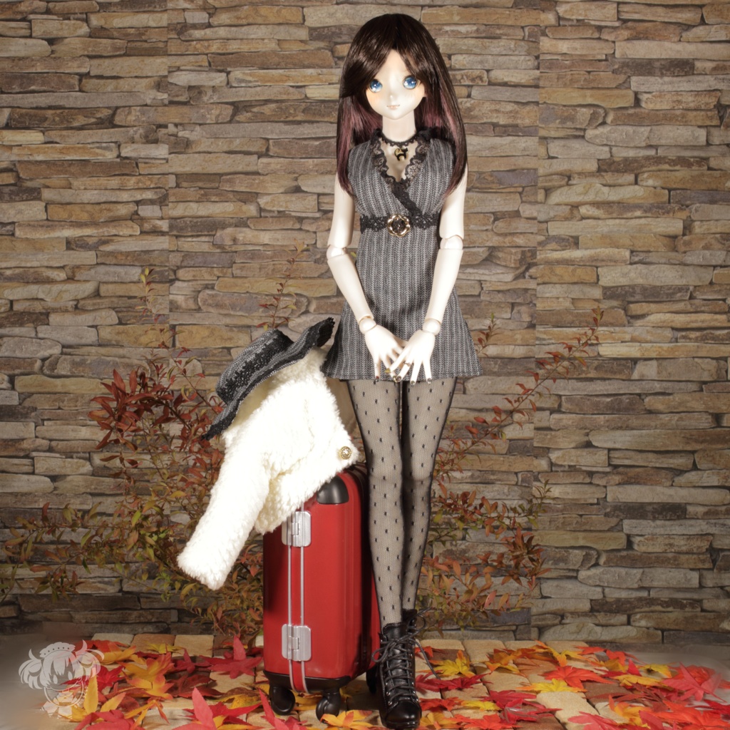 DD(S胸,M胸,L胸)ミニワンピース&ふわもこショートコートセット)