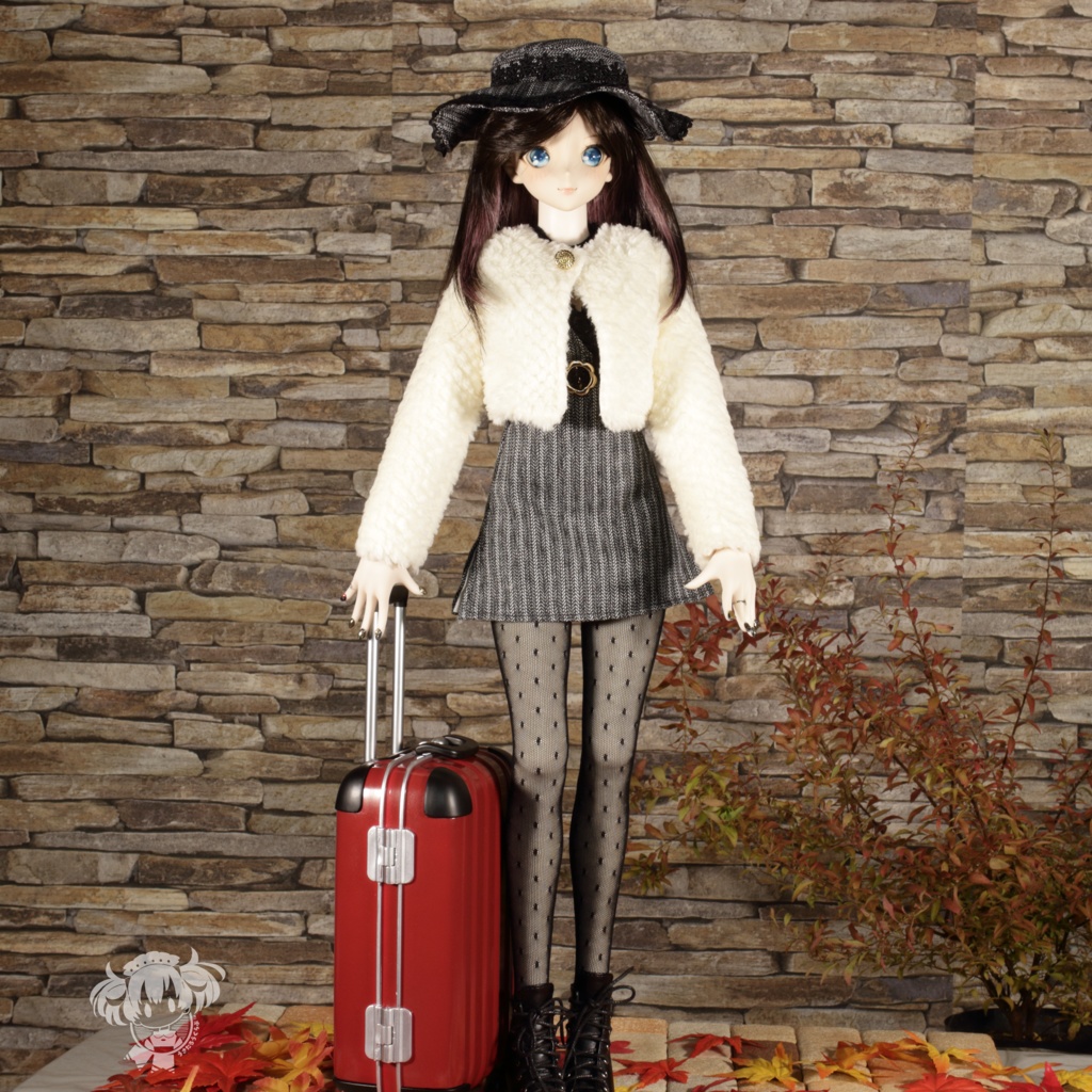 DD(S胸,M胸,L胸)ミニワンピース&ふわもこショートコートセット)