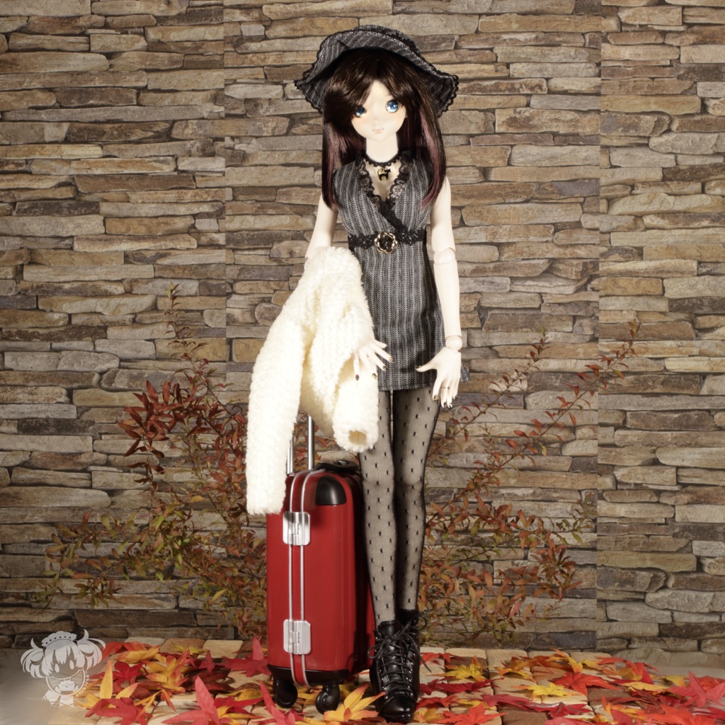 DD(S胸,M胸,L胸)ミニワンピース&ふわもこショートコートセット)