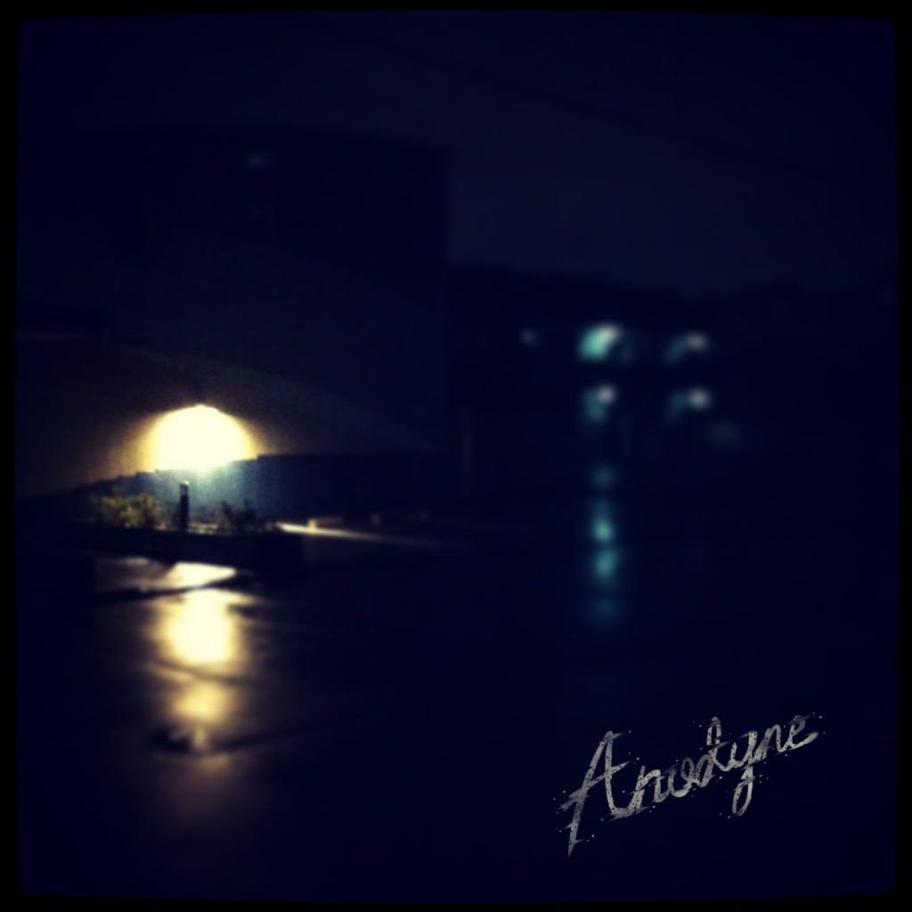 Anodyne