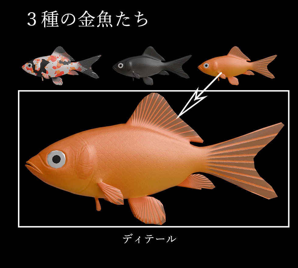 金魚すくいセット