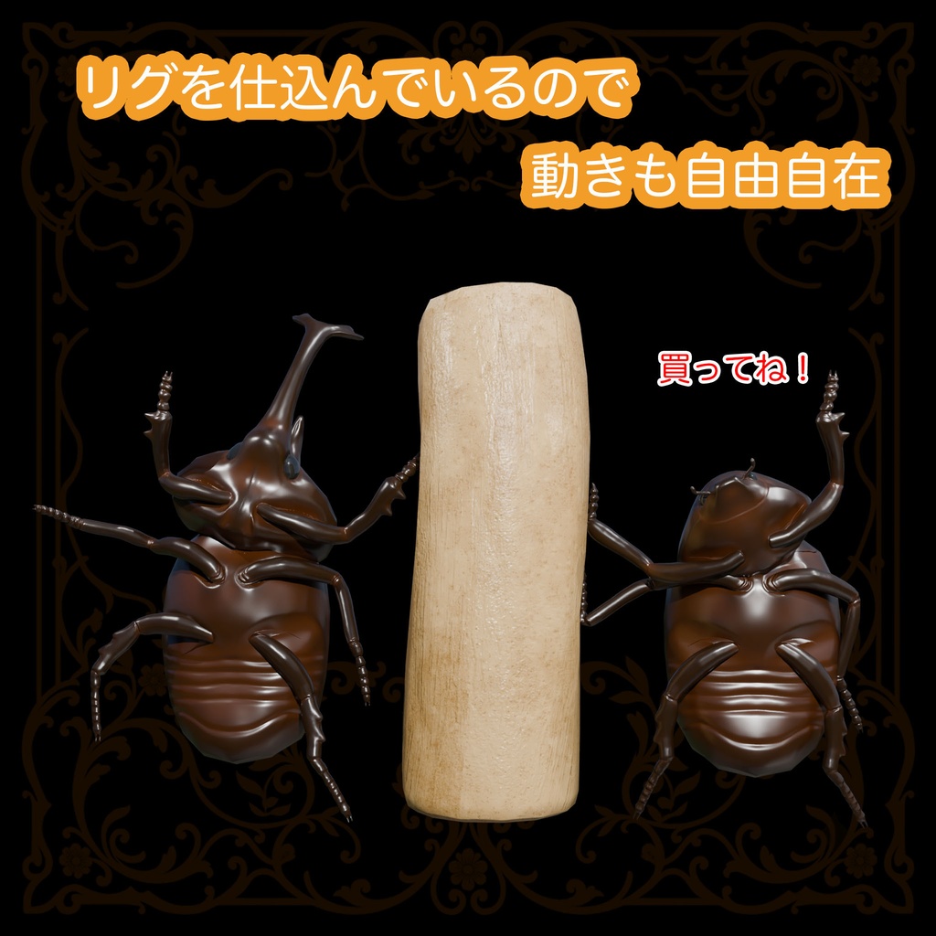カブトムシ飼育セット