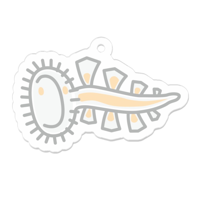 【全15種】うみうしアクリルキーホルダー vol.06【どれかな?うみうしる】