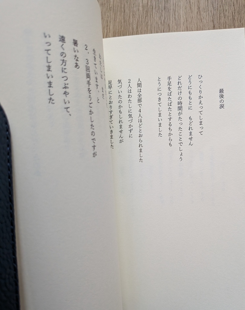 詩集「この星の寝言」(肩丘 灯)