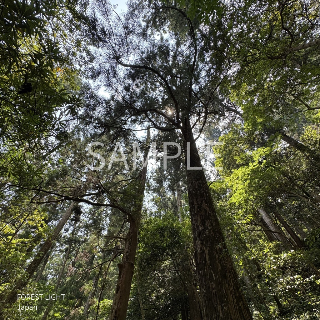 FOREST LIGHT Japan