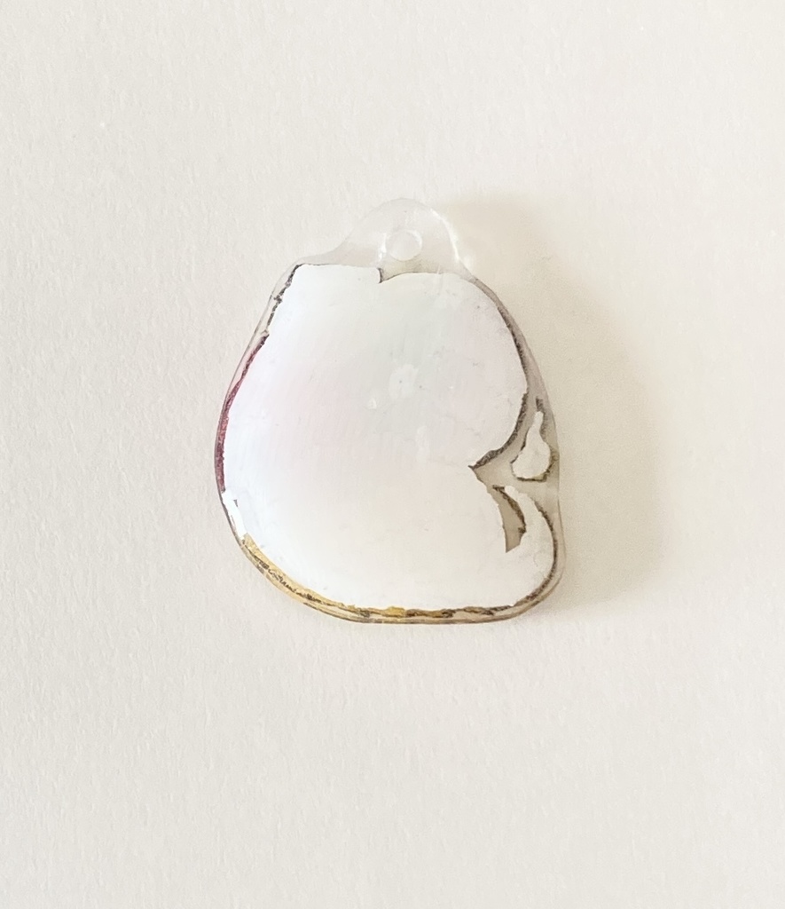 フェレット妖怪「座敷わらし」チャーム