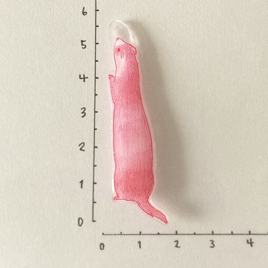 好奇心いっぱい!見上げるフェレットのマルチカラーチャーム (全5種)