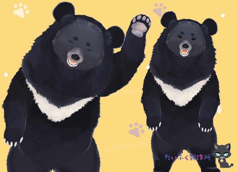 【汎用モデル】ツキノワグマ Live2Dモデル VTS推奨