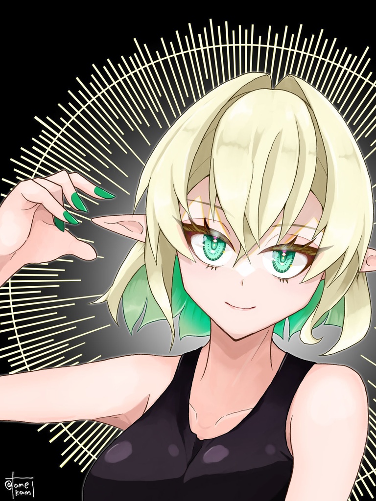 【カラーイラスト集(受注製本)】パルスィボン(東方project)