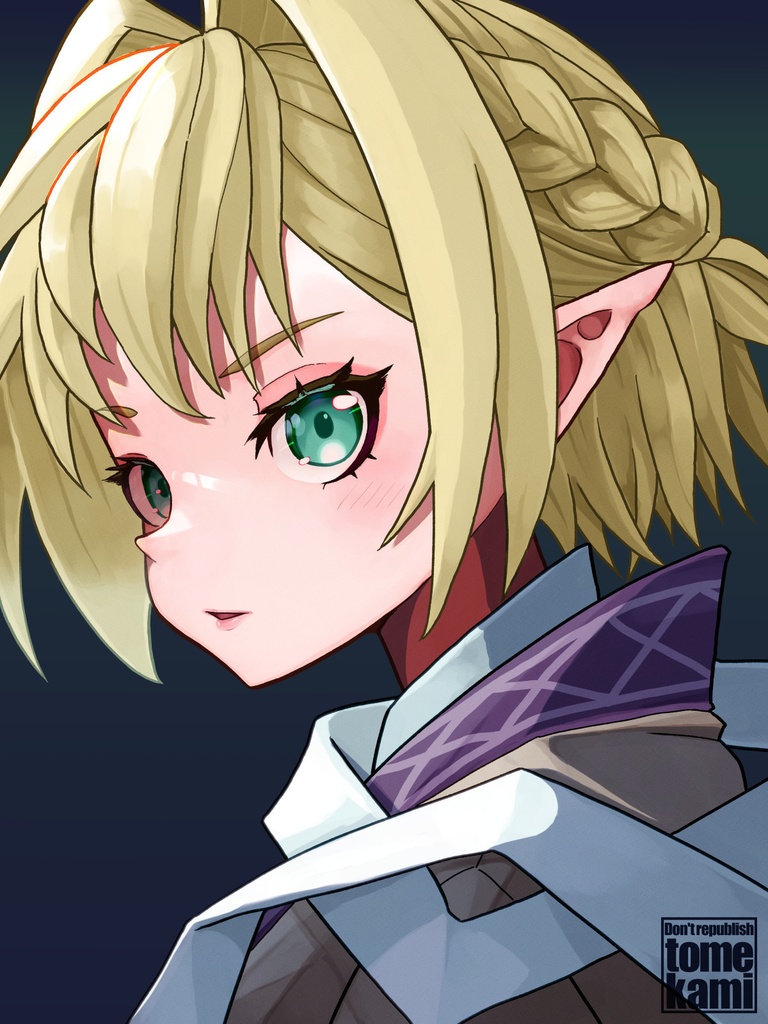 【カラーイラスト集(自宅発送)】パルスィボン4(東方project)