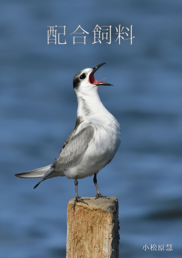 配合飼料【電子書籍】