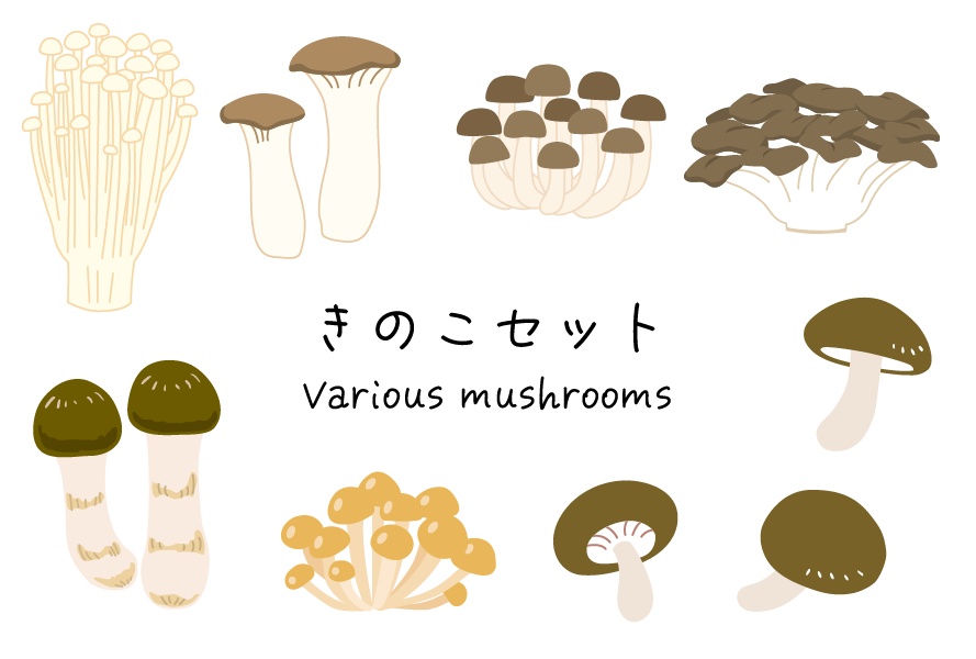 キノコのイラストセット