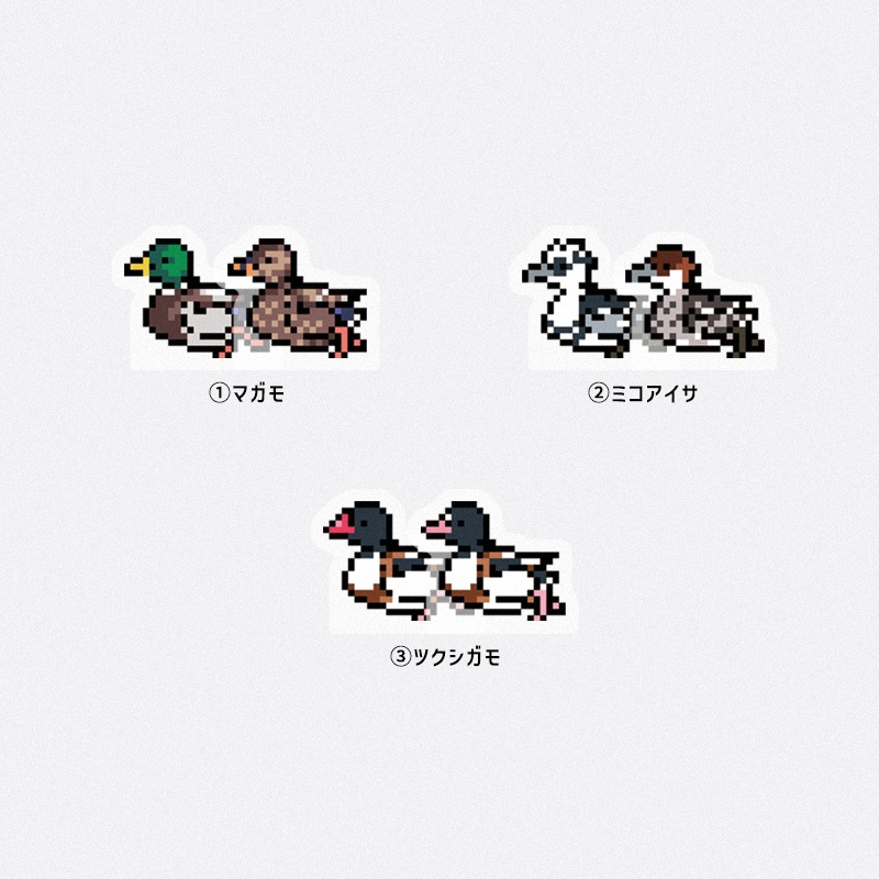 水鳥アクリルスタンド