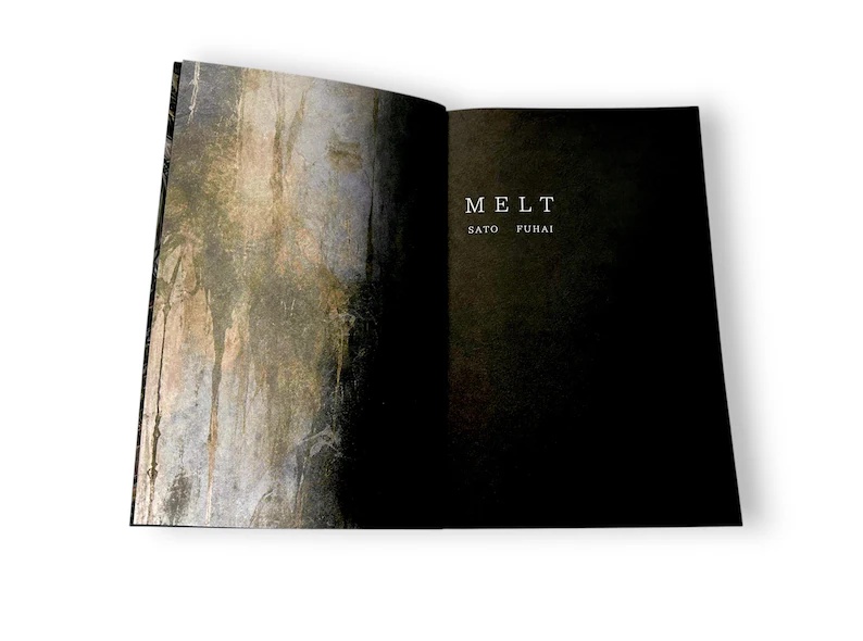 佐藤腐敗 作品集『MELT』