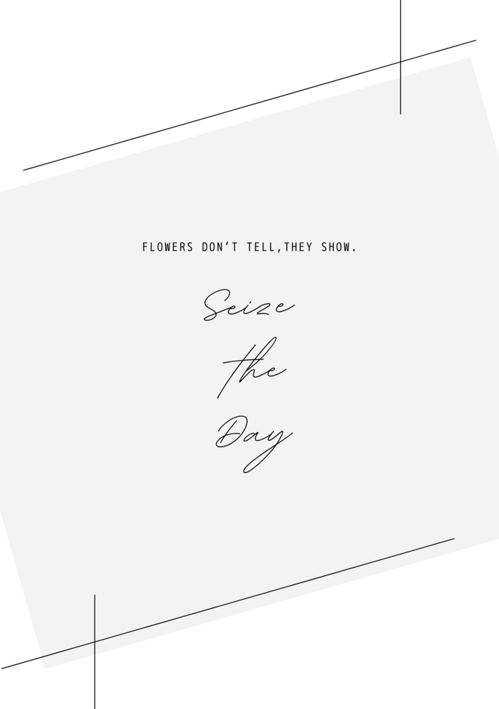 Seize the day【アモナク】