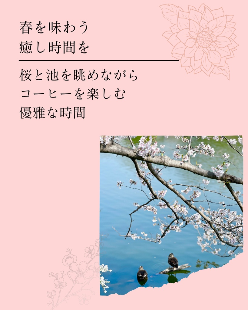 余白で整う|シンプルで上品なInstagram投稿テンプレート(6枚セット / Canva対応)