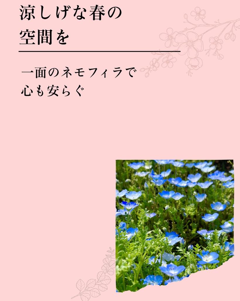 余白で整う|シンプルで上品なInstagram投稿テンプレート(6枚セット / Canva対応)