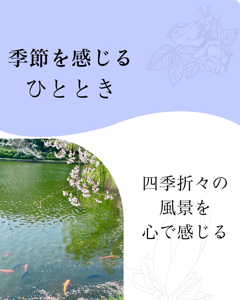 シンプルな投稿テンプレート(Canva/6枚構成)