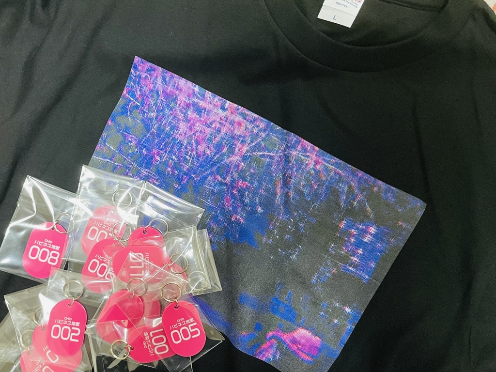 超無理してつくった超着やすいTシャツ (ランチェキ1枚付き)