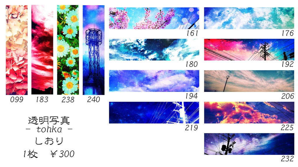 透明写真-tohka- 栞