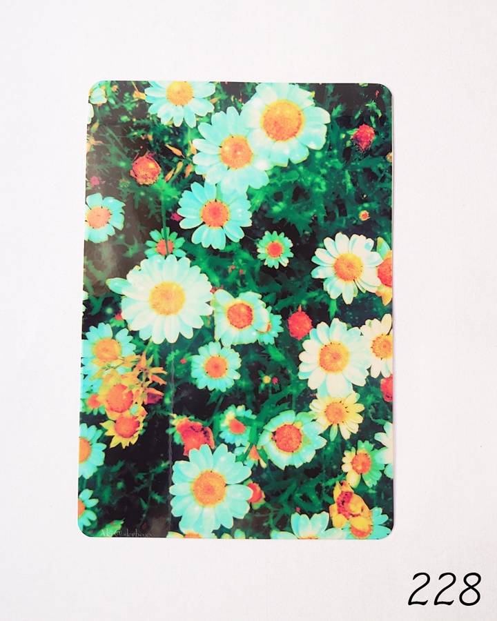 透明写真-tohka- ハガキサイズ