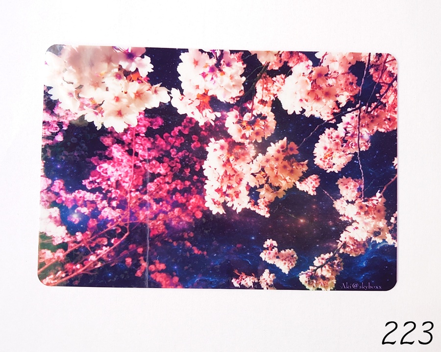 透明写真-tohka- ハガキサイズ