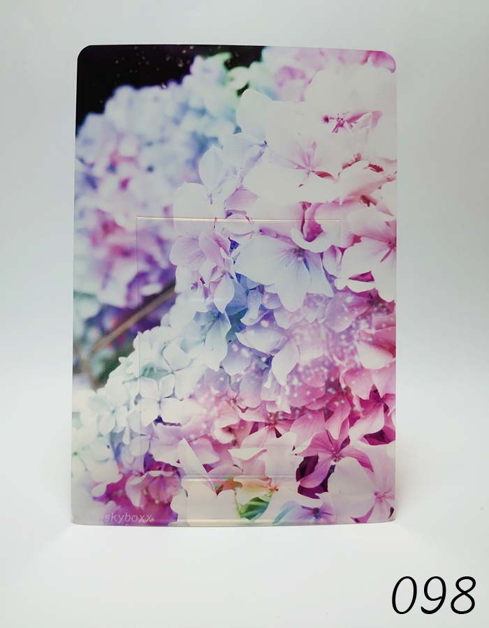 透明写真-tohka- ハガキサイズ