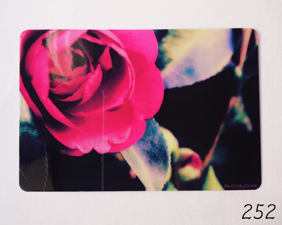 透明写真-tohka- ハガキサイズ