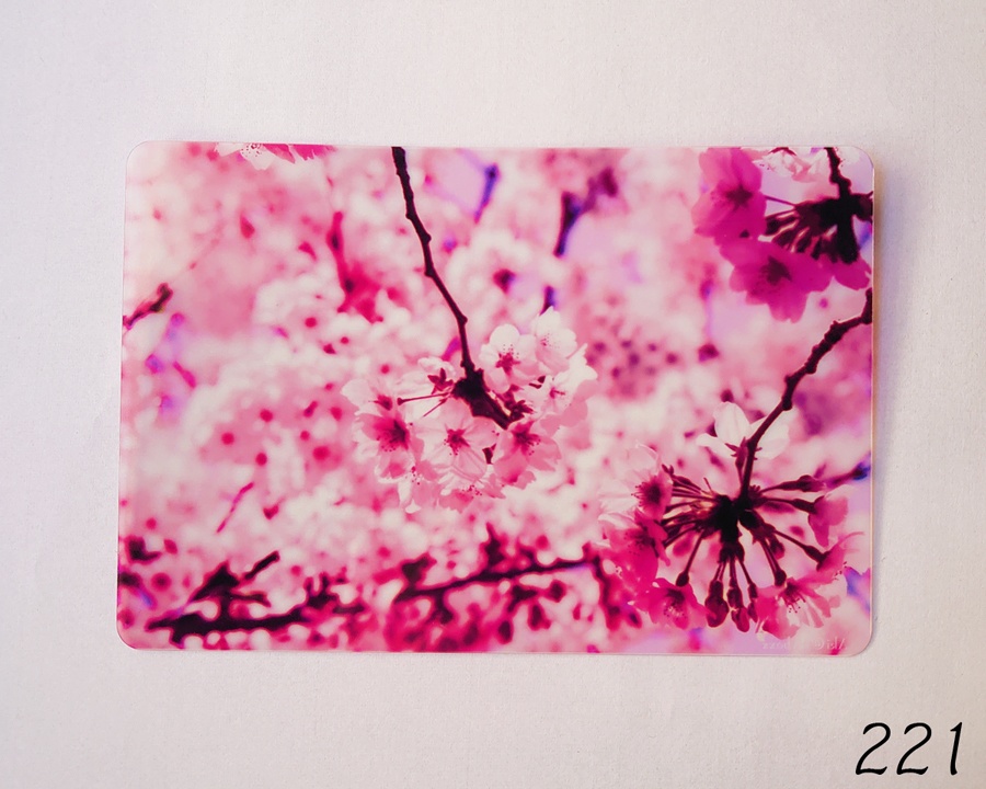 透明写真-tohka- ハガキサイズ