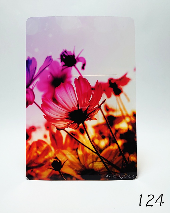 透明写真-tohka- ハガキサイズ