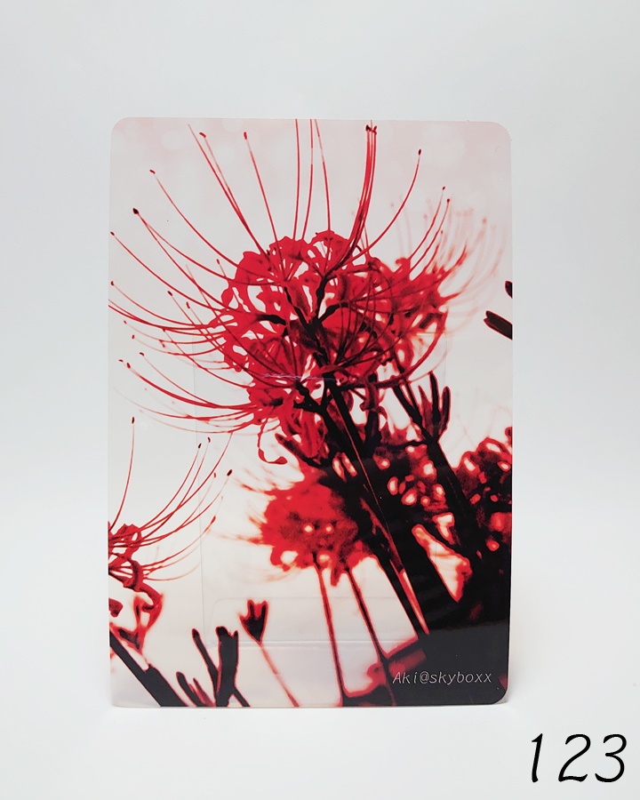 透明写真-tohka- ハガキサイズ