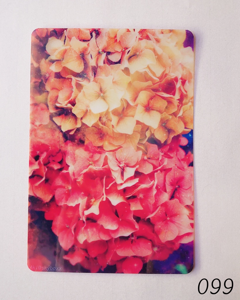 透明写真-tohka- ハガキサイズ