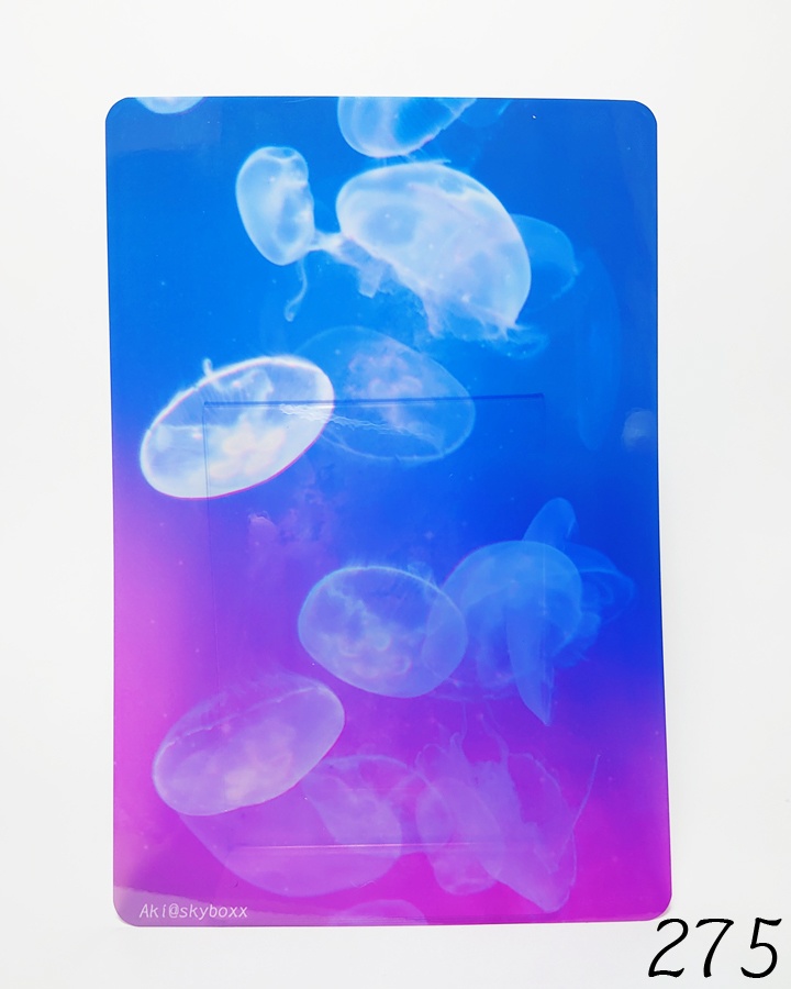 透明写真-tohka- ハガキサイズ