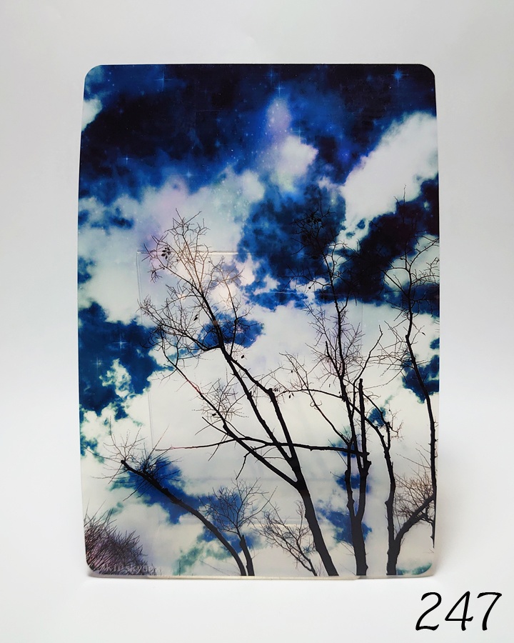 透明写真-tohka- ハガキサイズ