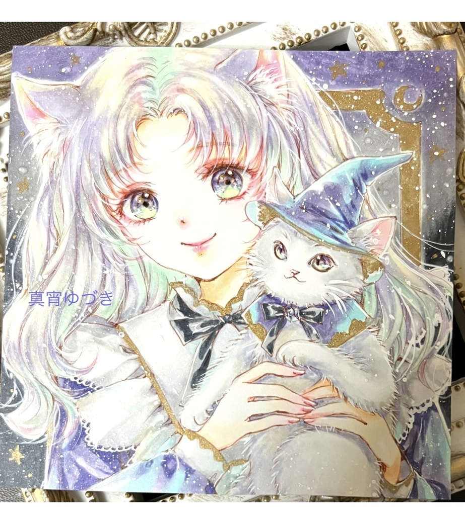 額付き【夜の猫達】