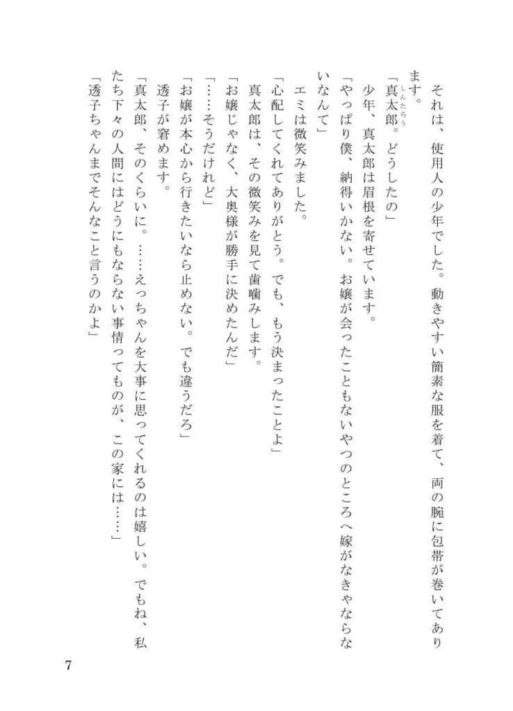 MEHEM vol.7「最終電車極楽橋往」ノベライズ(データ版)