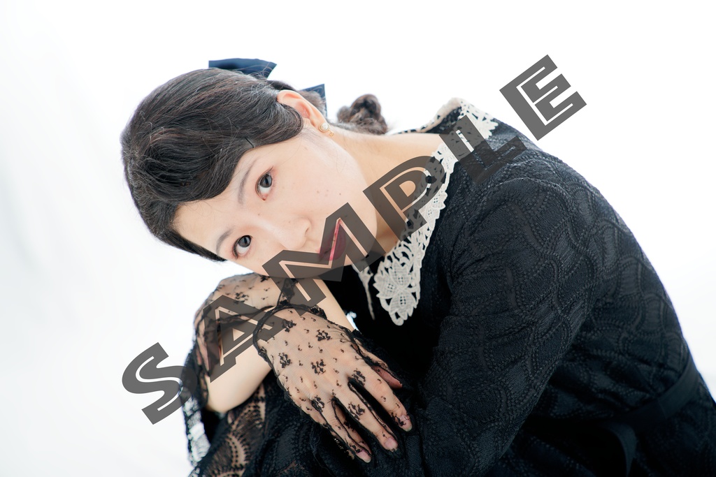 MEHEM vol.7「最終電車極楽橋往」ブロマイドデータ写真集(68枚)