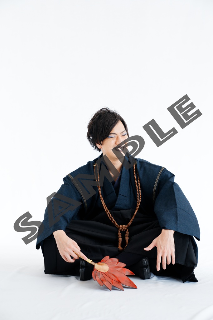 MEHEM vol.7「最終電車極楽橋往」ブロマイドデータ写真集(68枚)