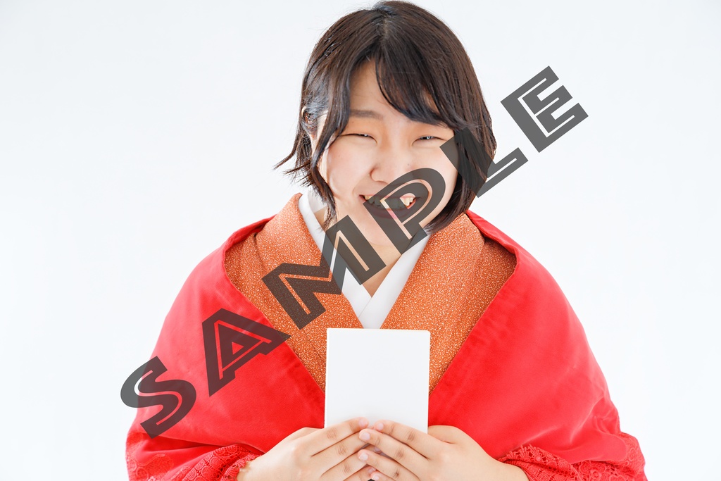 MEHEM vol.7「最終電車極楽橋往」ブロマイドデータ写真集(68枚)