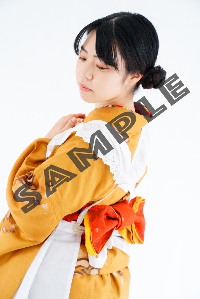 MEHEM vol.7「最終電車極楽橋往」ブロマイドデータ写真集(68枚)