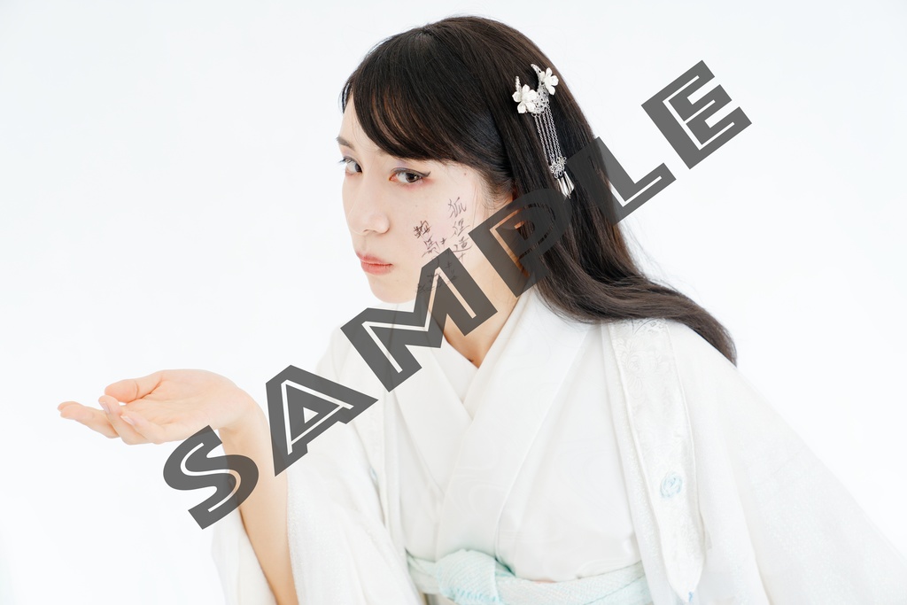 MEHEM vol.7「最終電車極楽橋往」ブロマイドデータ写真集(68枚)