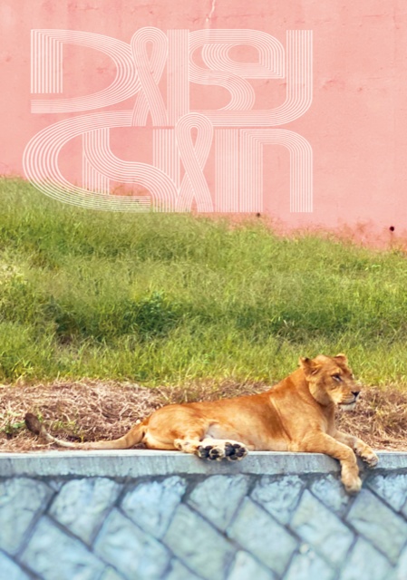 DAISY CHAIN vol.25