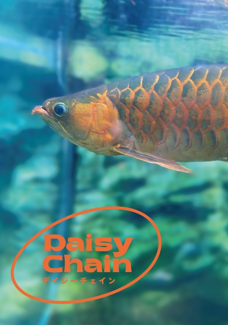 DAISY CHAIN vol.27