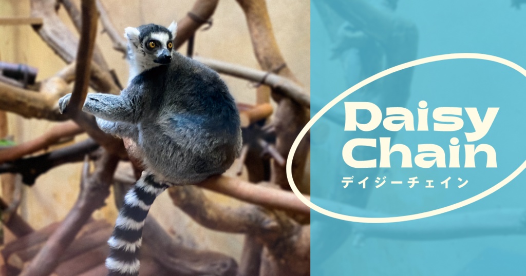 DAISY CHAIN vol.28