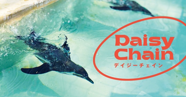 DAISY CHAINの最新刊!