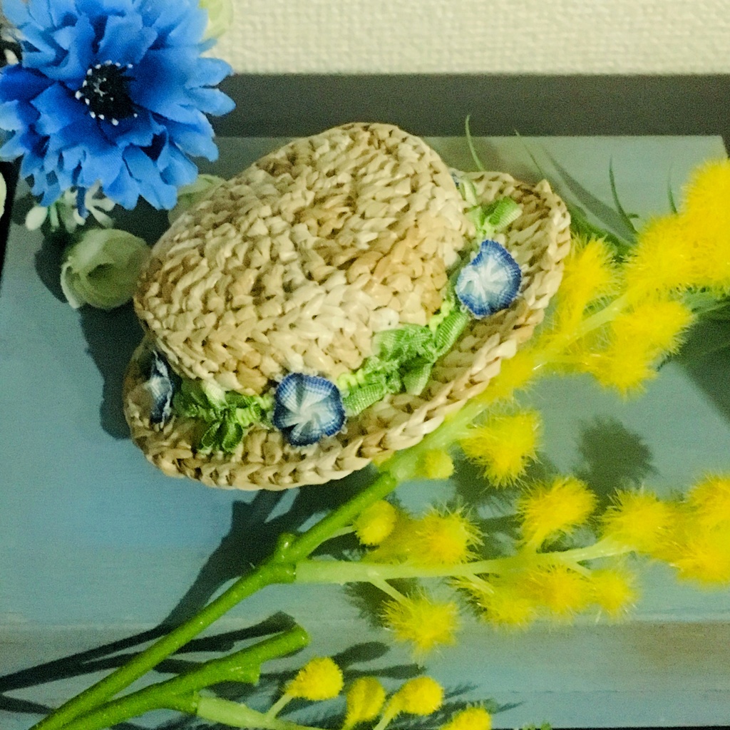 朝顔のカンカン帽