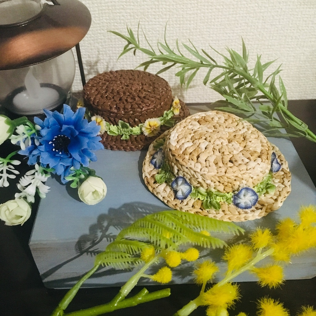 朝顔のカンカン帽