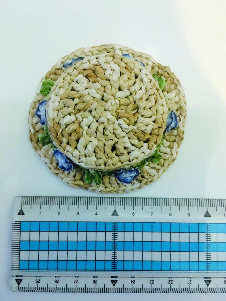 朝顔のカンカン帽